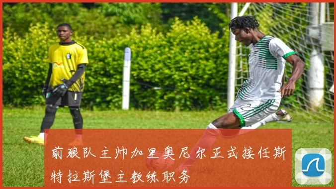 前狼队主帅加里奥尼尔正式接任斯特拉斯堡主教练职务