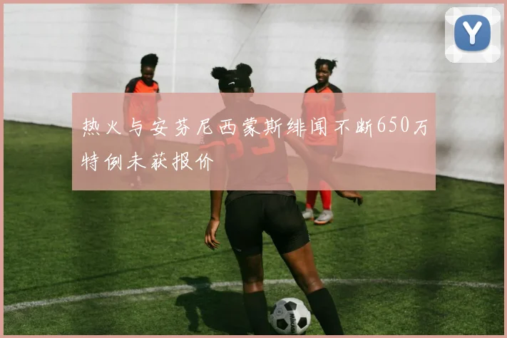 热火与安芬尼西蒙斯绯闻不断650万特例未获报价